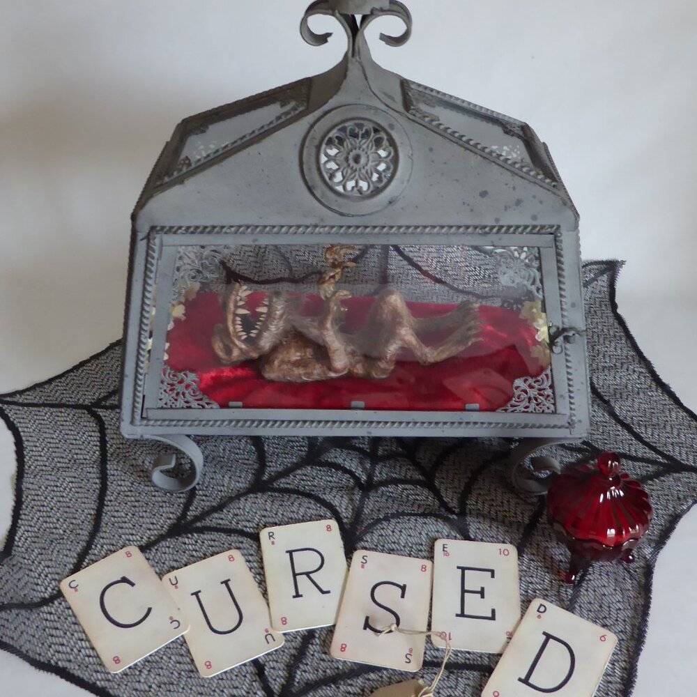 NEW MUMMIFIED WEREWOLF WOLFMAN FETUS ODDITY FREAK SIDESHOW GAFF IN GLASS COFFIN